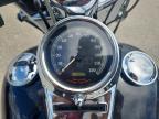 2003 Harley-Davidson Flstc