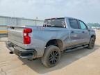 2023 Chevrolet Silverado K1500 Trail Boss Custom