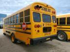 2023 Blue Bird School Bus / Transit Bus