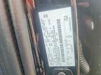 2025 Ford F150 XLT