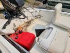 2019 Boat Bost Whale