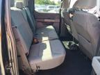 2025 Ford F150 XLT