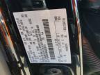 2025 Ford F150 XLT