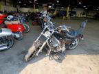 2019 Harley-Davidson XL883 L