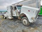 2022 Peterbilt 389