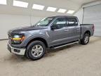 2025 Ford F150 XLT