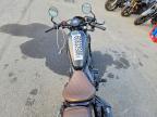 2023 Honda CMX500 A