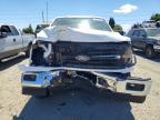 2024 Ford F150 XLT