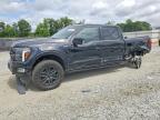 2025 Ford F150 Platinum