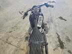 2020 Harley-Davidson Flsl