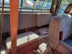 1995 Toyota Pickup DX