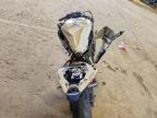 2025 Kawasaki ZX636 K