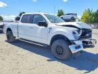 2024 Ford F150 XLT