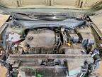 2025 Hyundai Santa Cruz SEL Activity