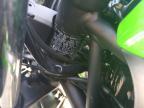 2025 Kawasaki EX650 P