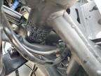 2024 Kawasaki CX500