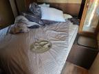 2016 Forest River 2016 Forest River Wildwood Camper