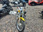 2006 Harley-Davidson XL1200 C