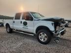 2016 Ford F250 Super Duty