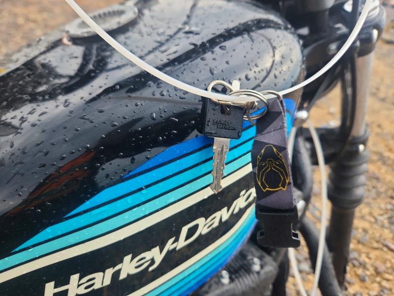 2018 Harley-Davidson XL1200 NS