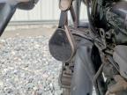 2019 Harley-Davidson XL883 N