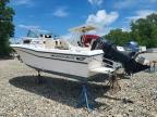 1994 Gradywhite Boats 1994 Grady White Boat-Boat