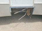 2008 Kz Sportsmen Recreational Vehicle (RV)