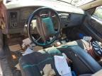 2001 Dodge Dakota Quattro