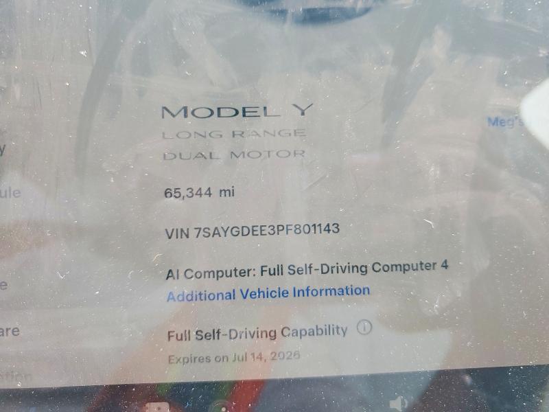 2023 Tesla Model y