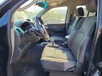 2009 Suzuki Equator Sport