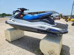 2024 YAM VX Limited