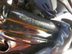 2025 Triumph Speed 400