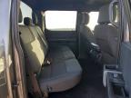 2024 Ford F150 STX