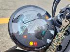 2026 Triumph Scrambler 900