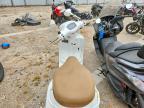 2023 Vespa PRIMAVERA/SPRINT 150