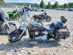 2010 Harley-Davidson Flstc