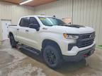 2024 Chevrolet Silverado K1500 LT Trail Boss