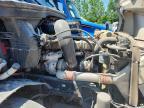 2019 Freightliner Cascadia 126 Semi Truck