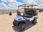 2021 Icon Golf Cart