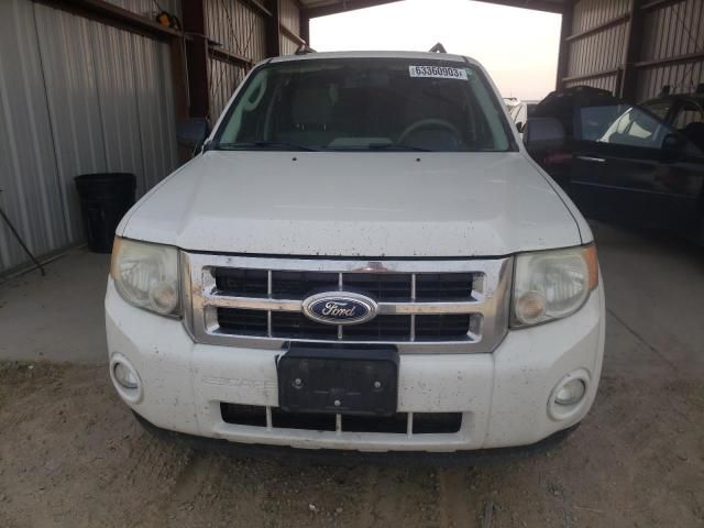 2011 Ford Escape XLT