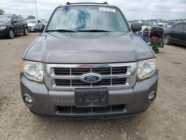 2010 Ford Escape XLT