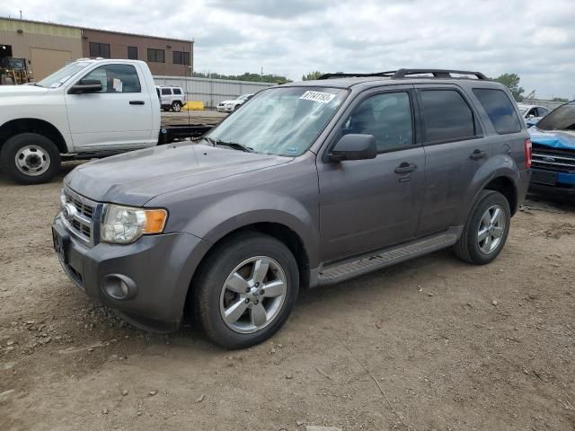 2010 Ford Escape XLT