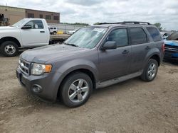 Ford Escape salvage cars for sale: 2010 Ford Escape XLT