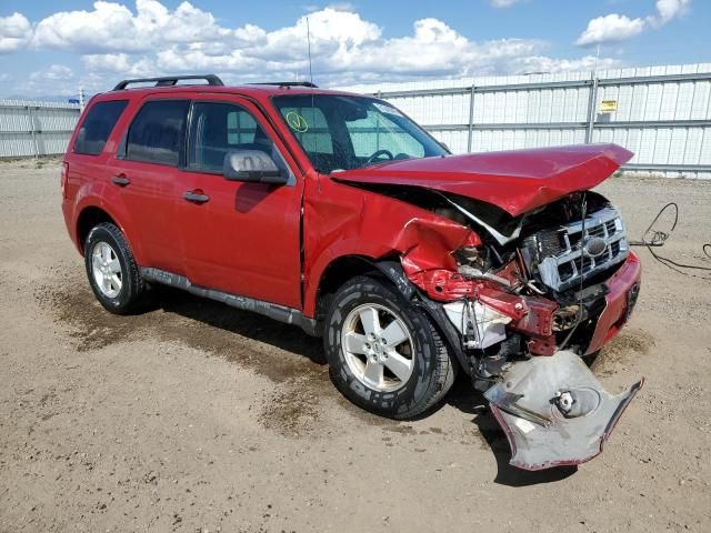 2010 Ford Escape XLT