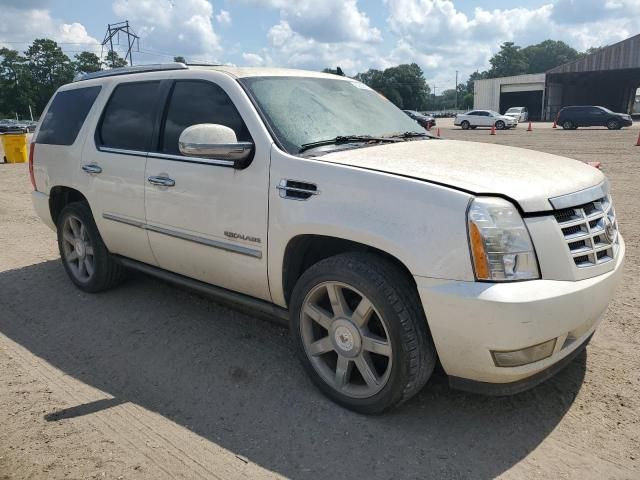 2010 Cadillac Escalade Premium