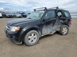 2011 Ford Escape XLS for sale in Helena, MT