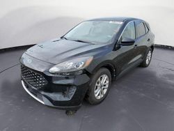 Salvage cars for sale from Copart Hillsborough, NJ: 2020 Ford Escape SE