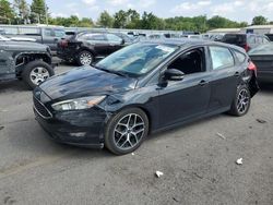 Ford Focus salvage cars for sale: 2017 Ford Focus SEL