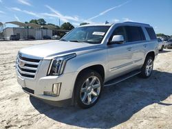 Cadillac salvage cars for sale: 2017 Cadillac Escalade Luxury