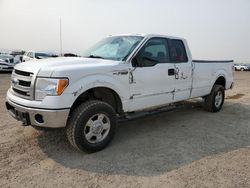 Ford salvage cars for sale: 2013 Ford F150 Super Cab